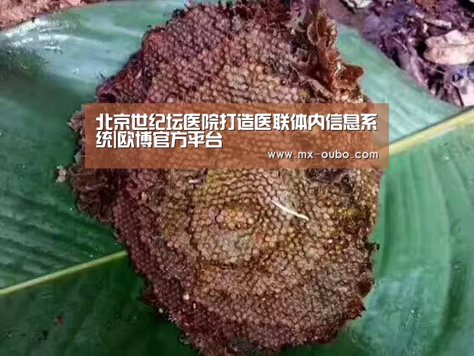 欧博官方平台